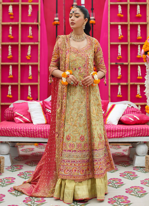 Picture of Farnaz Lime Angarkha