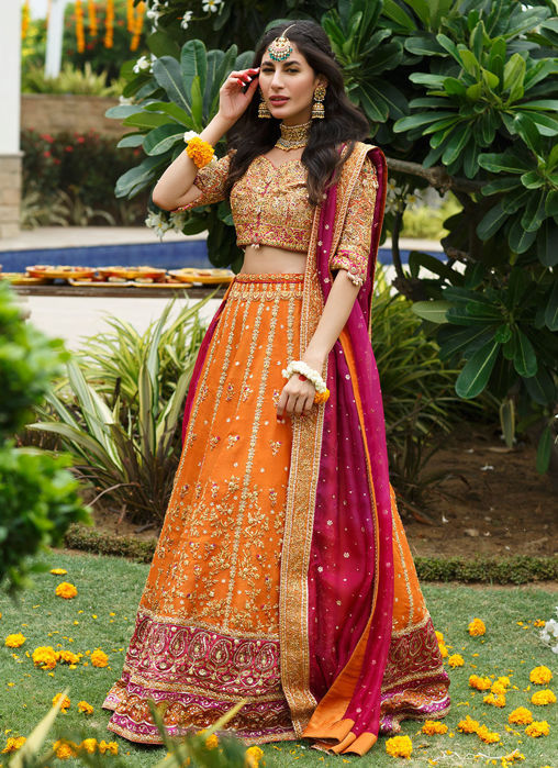 Picture of Beena Lehenga Choli