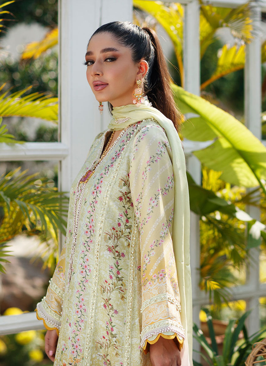 Jolie Shirt And Dupatta