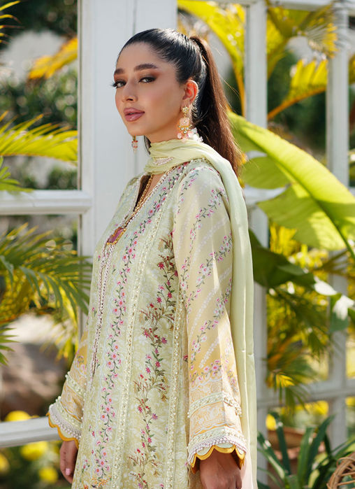 Jolie Shirt And Dupatta