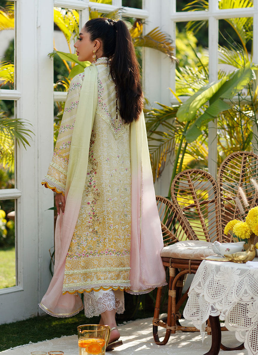 Jolie Shirt And Dupatta