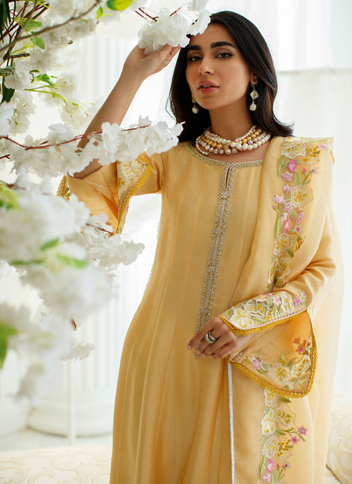 Mimosa Shirt And Dupatta