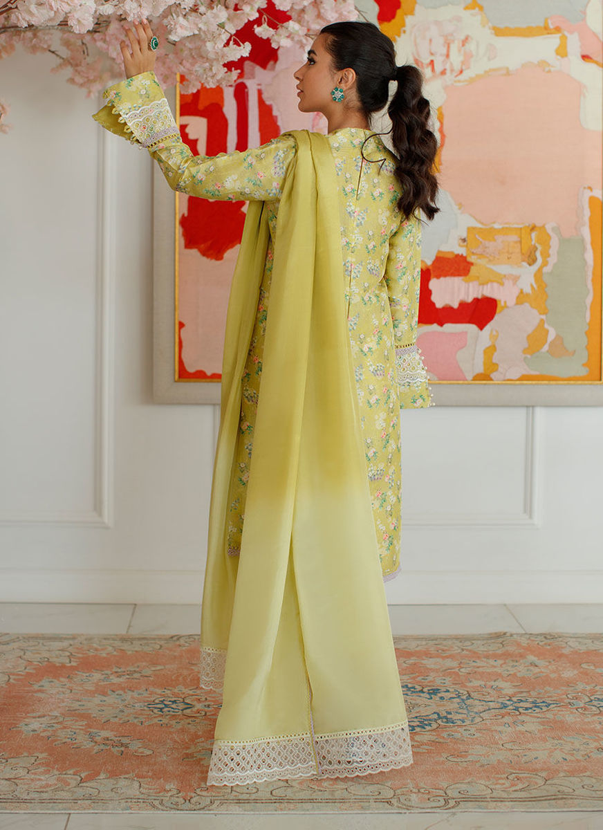 Eden Kiwi Shirt And Dupatta