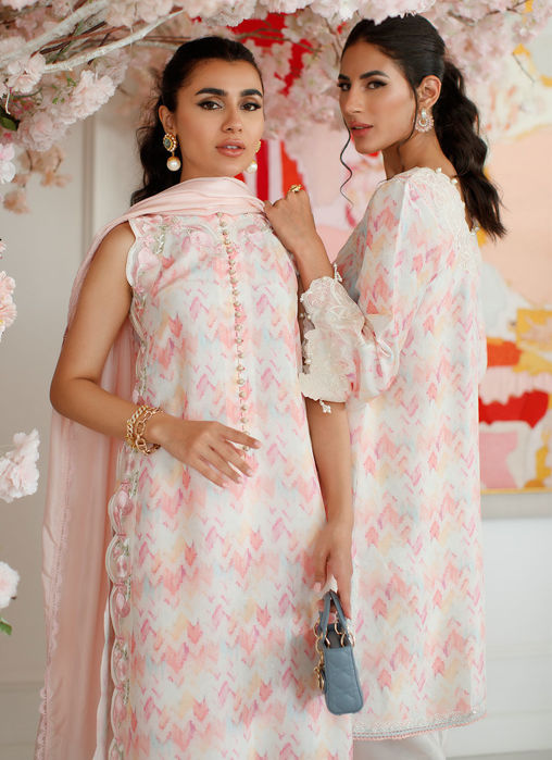 Ikat Emma Shirt And Dupatta