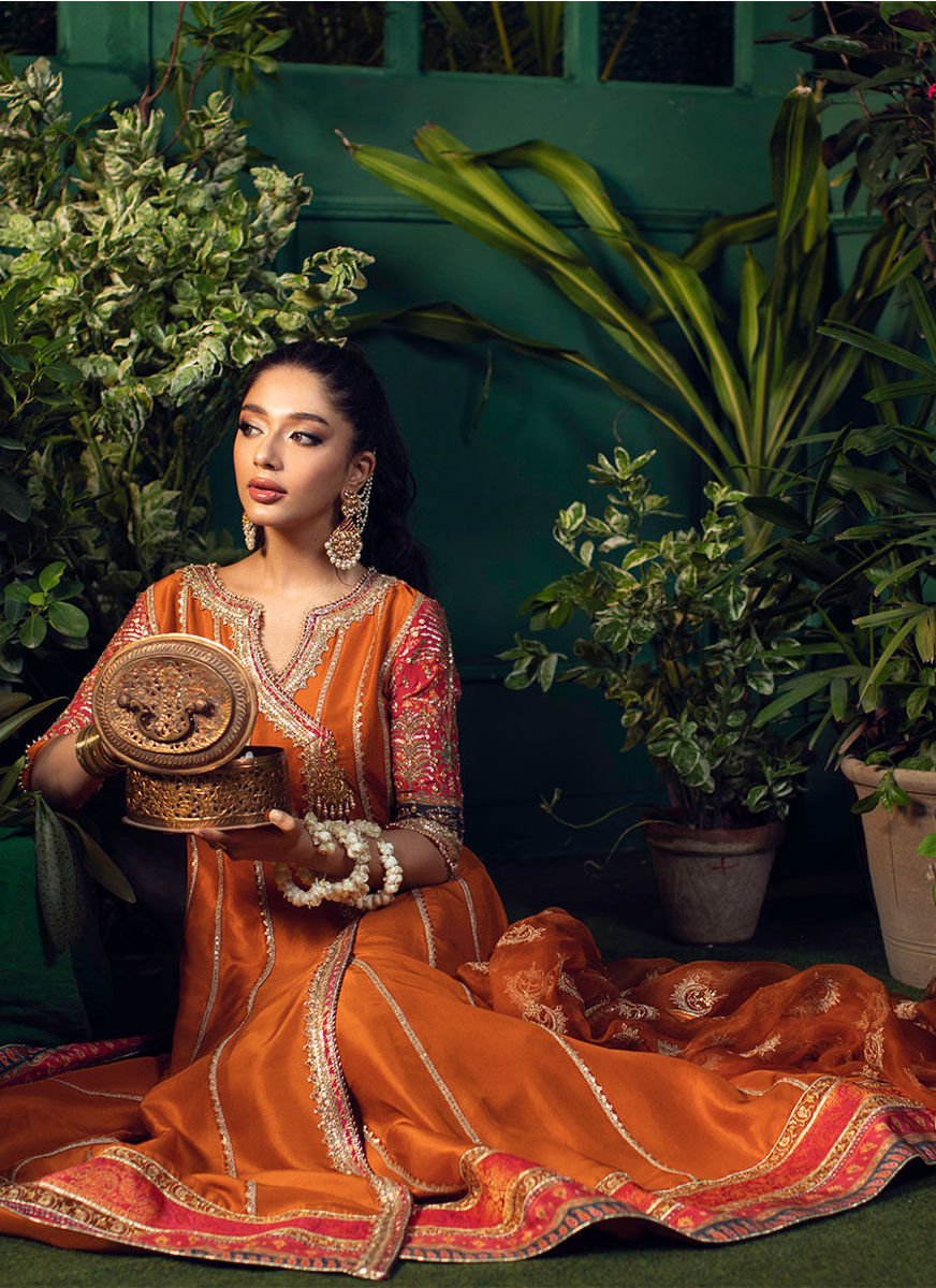 Shohreh Rust Kalidaar With Organza Baali Embroidered  Sequence Dupatta