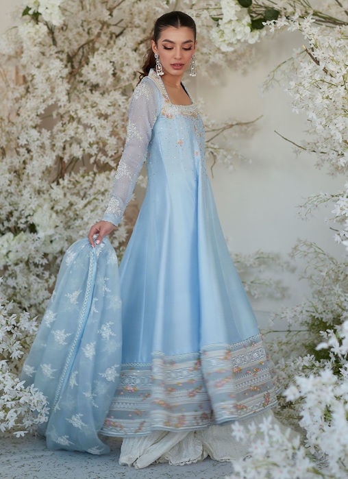 Nilla Kalidaar And Dupatta