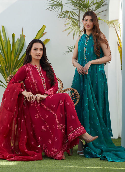 Dion Scarlett Paneled Shirt And Dupatta