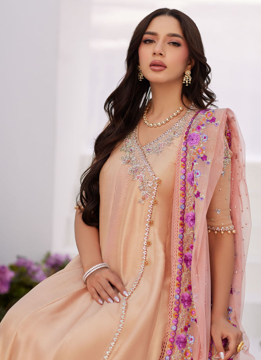 Lisette Fawn Embellished Raw Silk Angarkha And Dupatta
