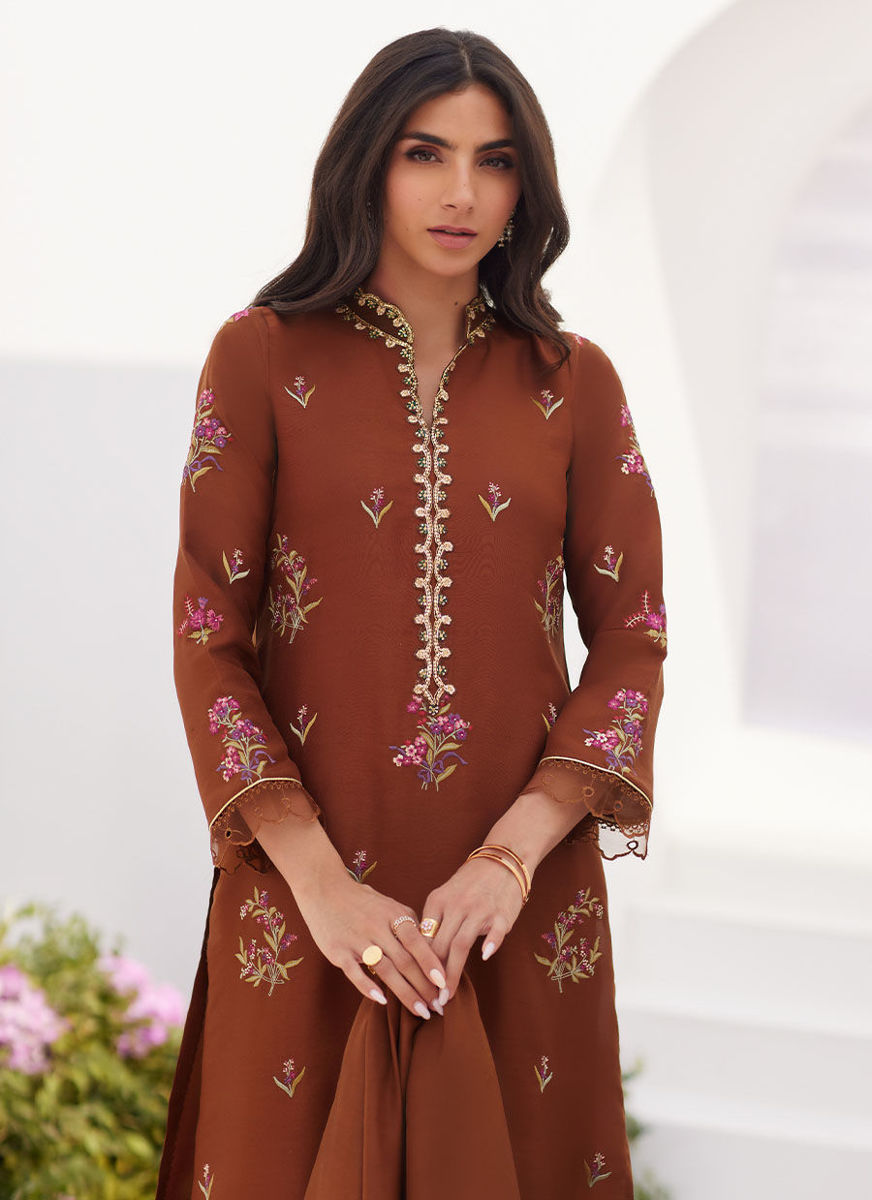Noemie Chocolate Embroidered Raw Silk Shirt And Dupatta