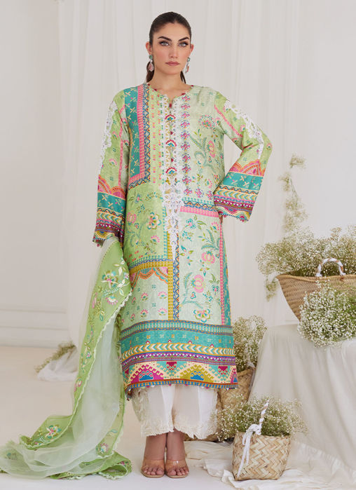 Picture of Marta Apple Green Shirt And Dupatta