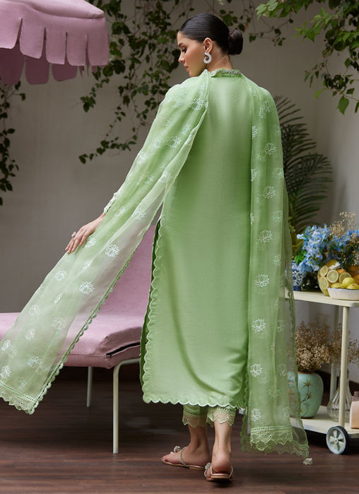 Katya Apple Green Cutwork Raw Silk Shirt With Organza Dupatta