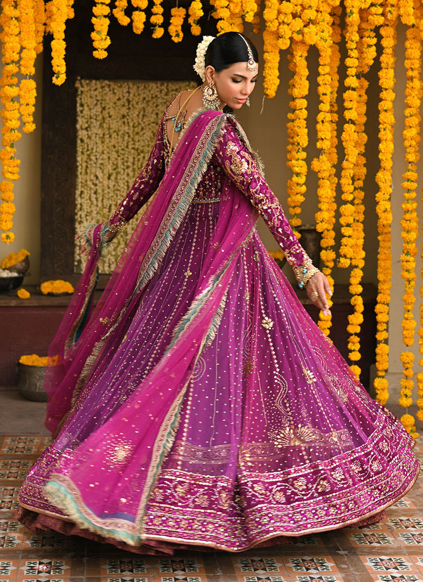 Donna Orchid Purple Kalidaar