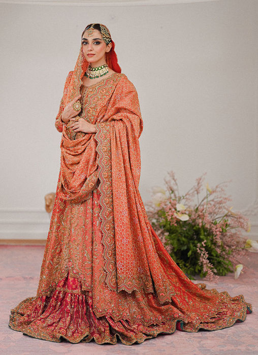 Picture of Maisha Trailed Kalidaar With Farshi Bridal