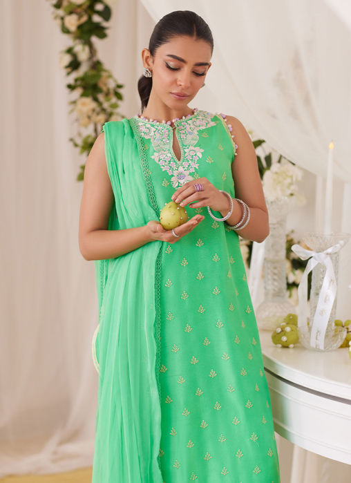 Toucan Shirt And Dupatta