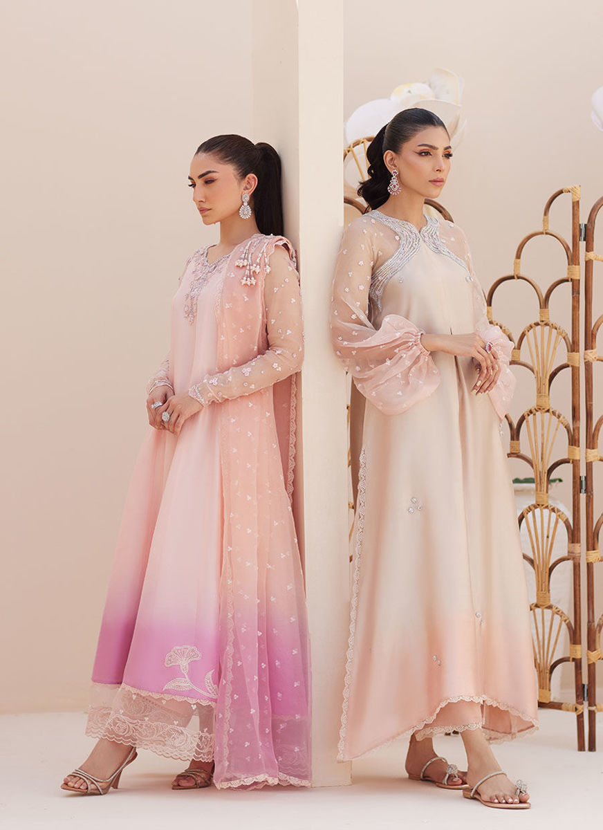 Deedee Pink Ombre Paneled Shirt And Dupatta