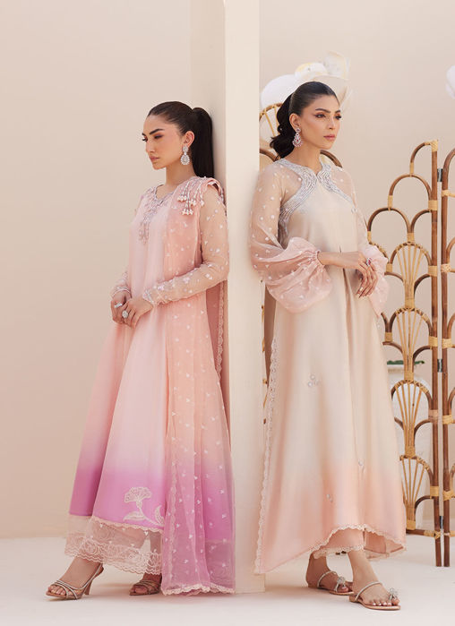 Deedee Pink Ombre Paneled Shirt And Dupatta