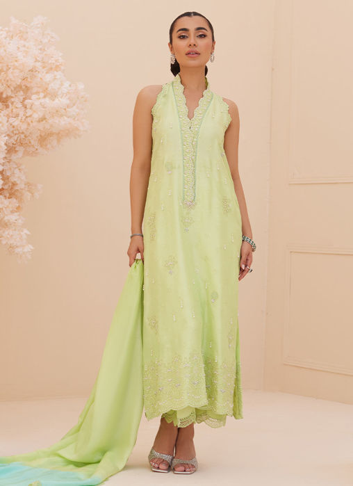 Picture of Pia Embroidered Raw Silk Shirt And Dupatta