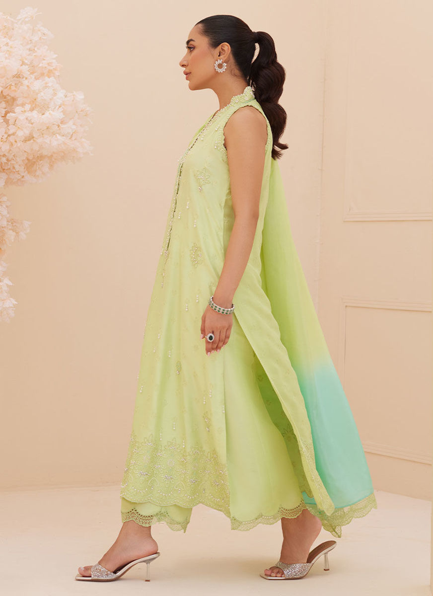 Pia Embroidered Raw Silk Shirt And Dupatta