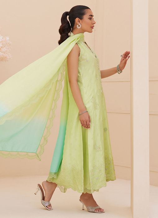 Pia Embroidered Raw Silk Shirt And Dupatta