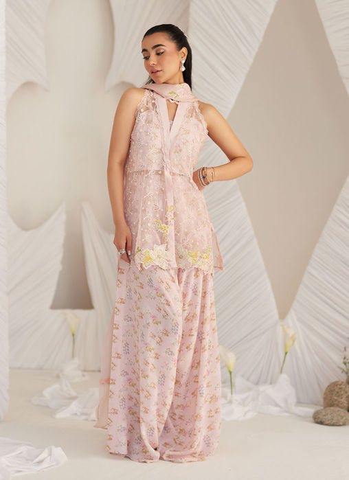 Kyma Blush Organza Jacket And Dupatta