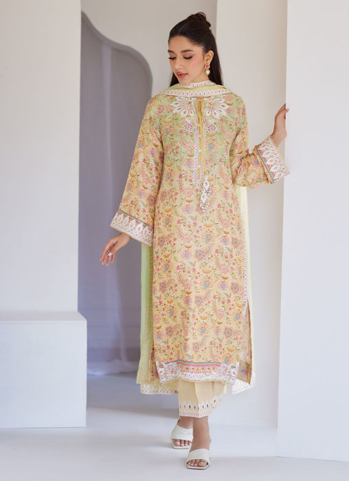 Leora Ombre Shirt And Dupatta
