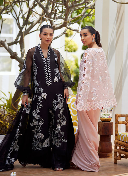 Cari Organza Cape And Pre-Drape Sari Skirt