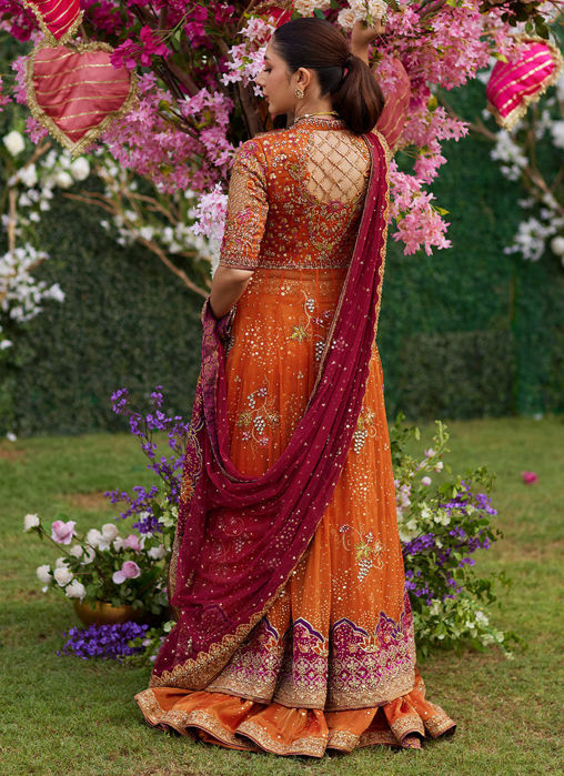 Mireya Burnt Orange Kalidaar