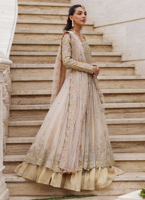 Sitara Champagne Kalidaar