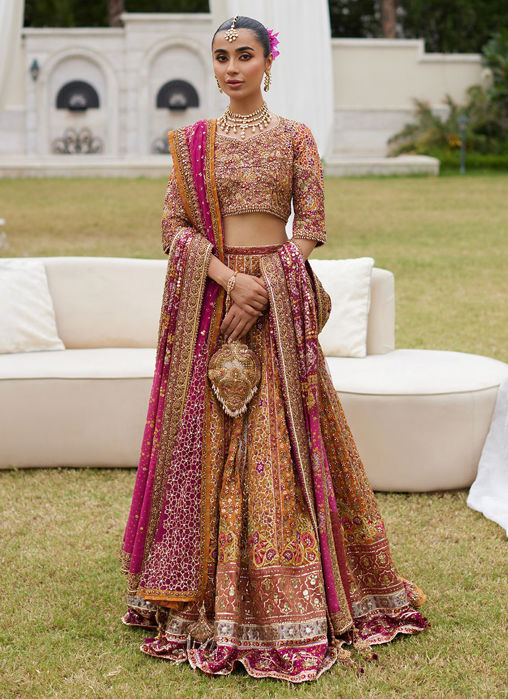 Raina Rust Lehnga Choli