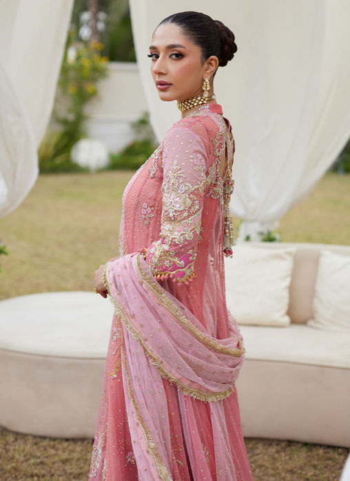 Ivyana Pink Kalidaar