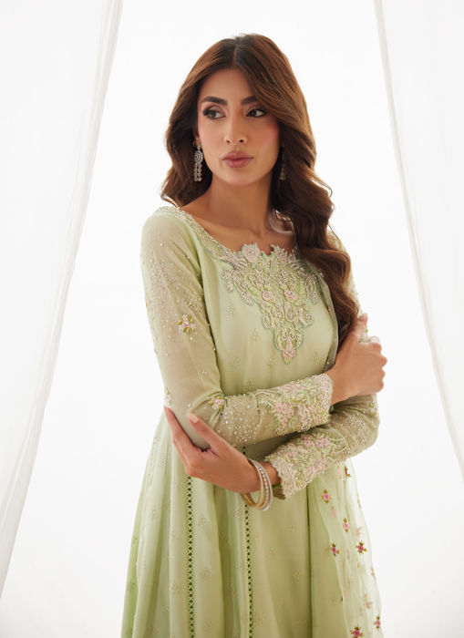 Leni Apple Green Shirt And Dupatta