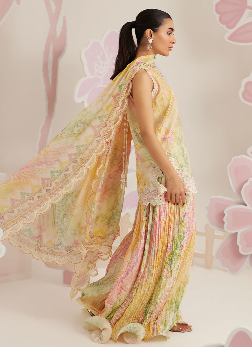 Elysia Shirt, Pants and Dupatta