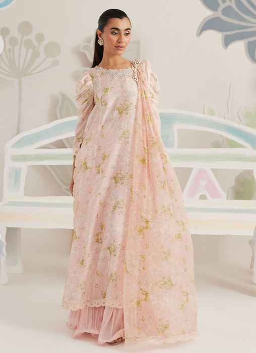 Viona Shirt and Dupatta